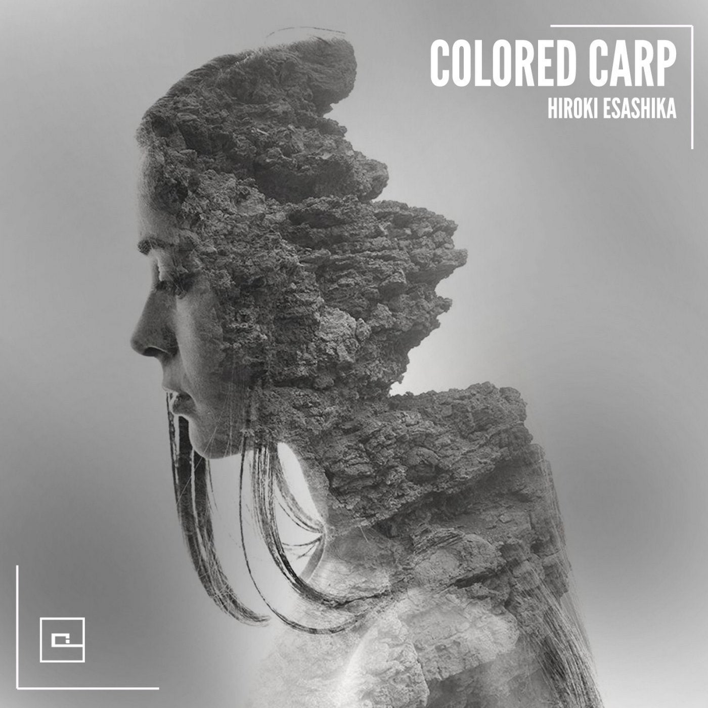 Colored Carp