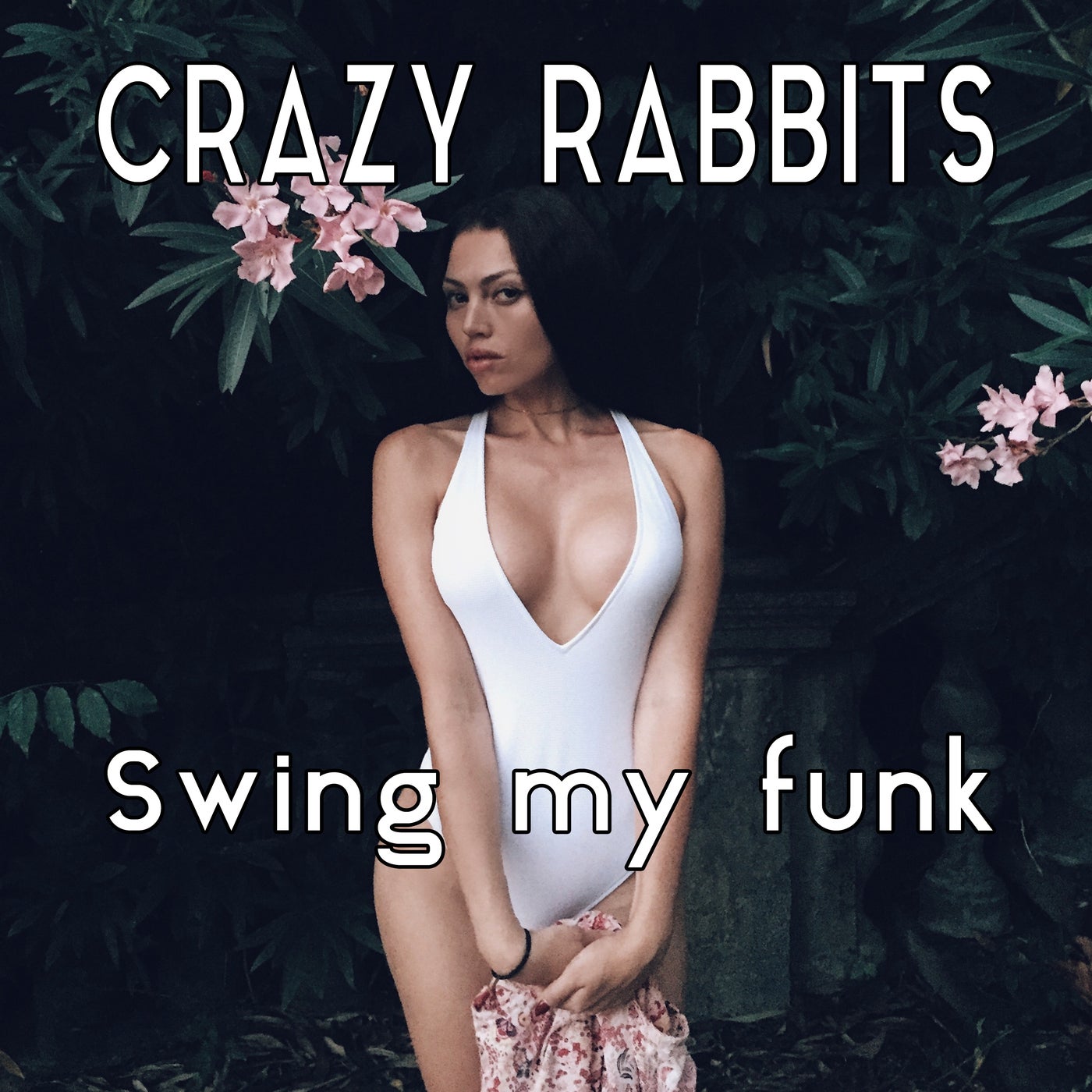 Swing my Funk