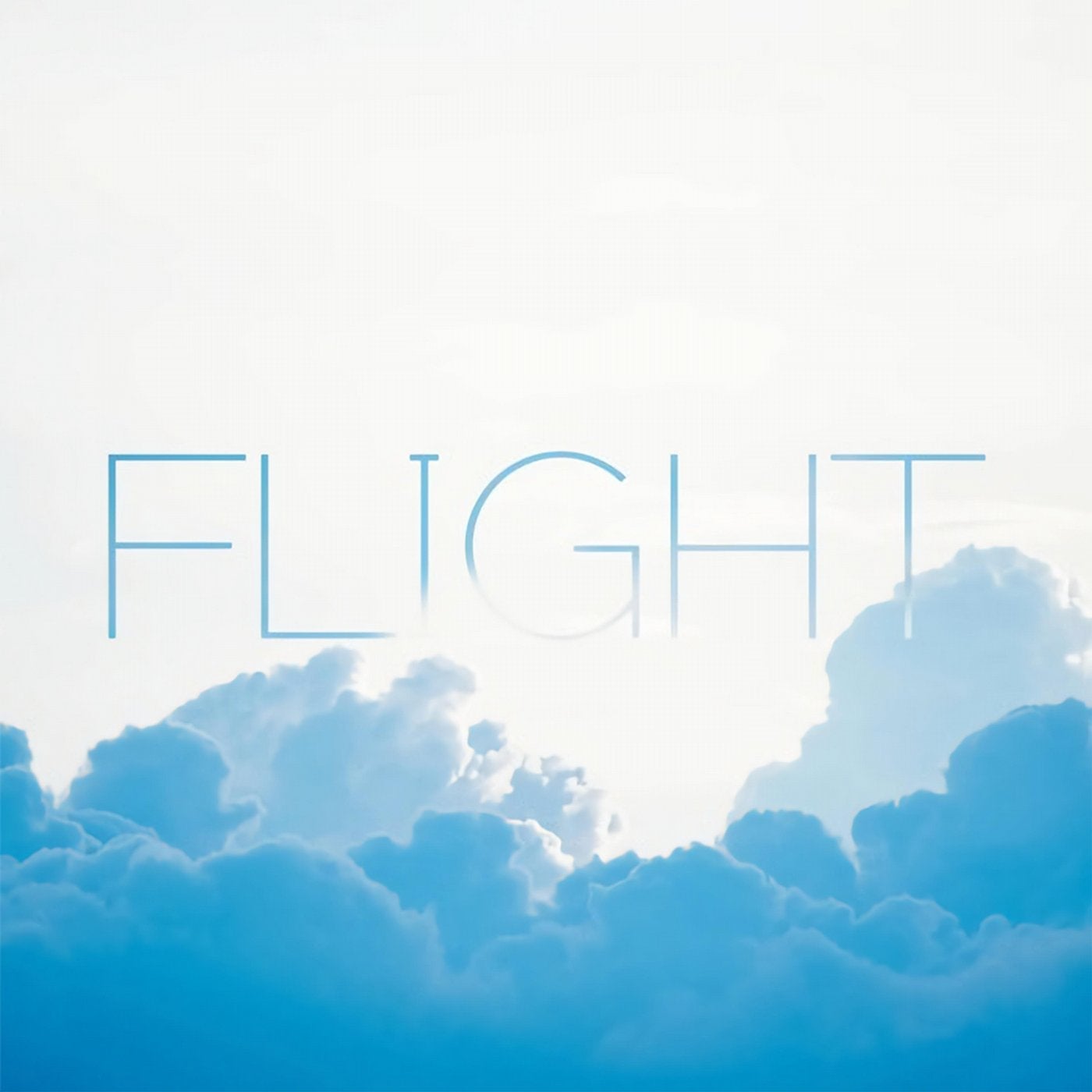 Flight