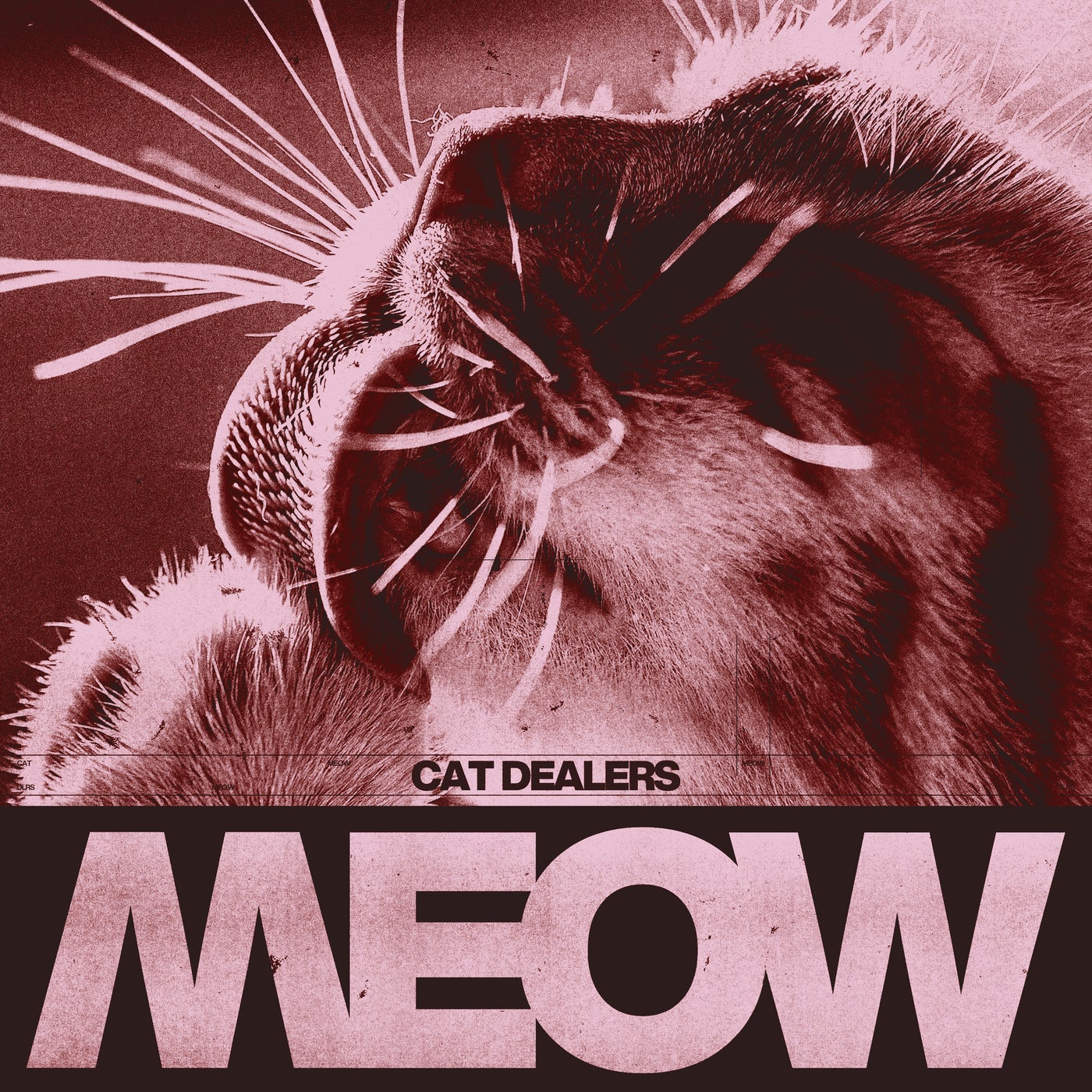 MEOW