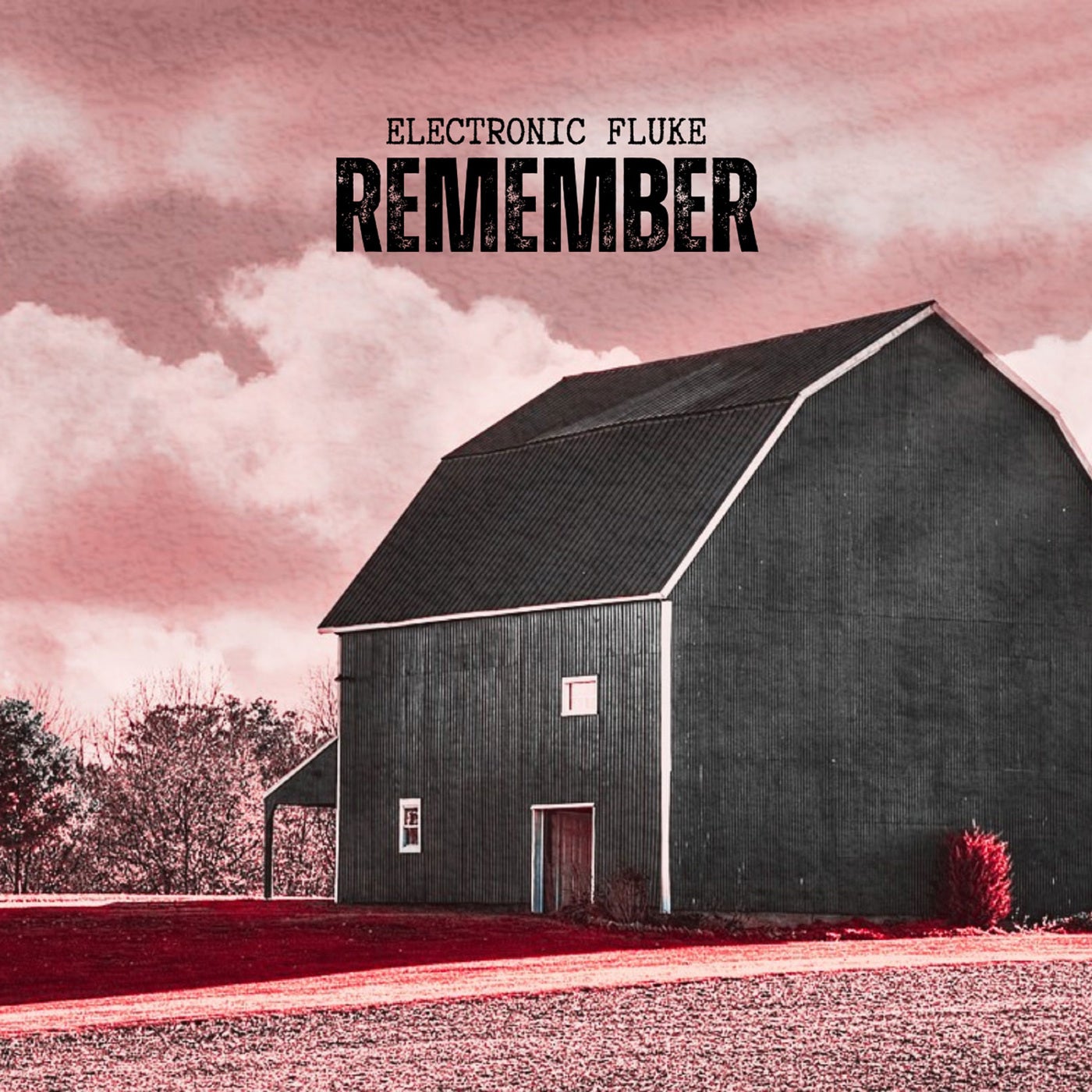 Remember