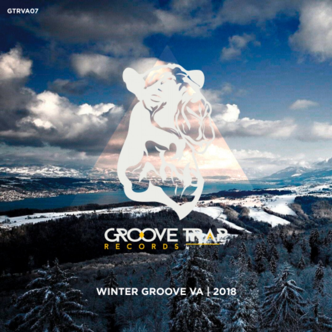 Winter Groove VA | 2018