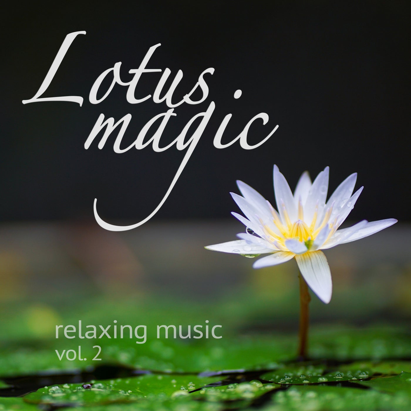 Lotus Magic Vol.2