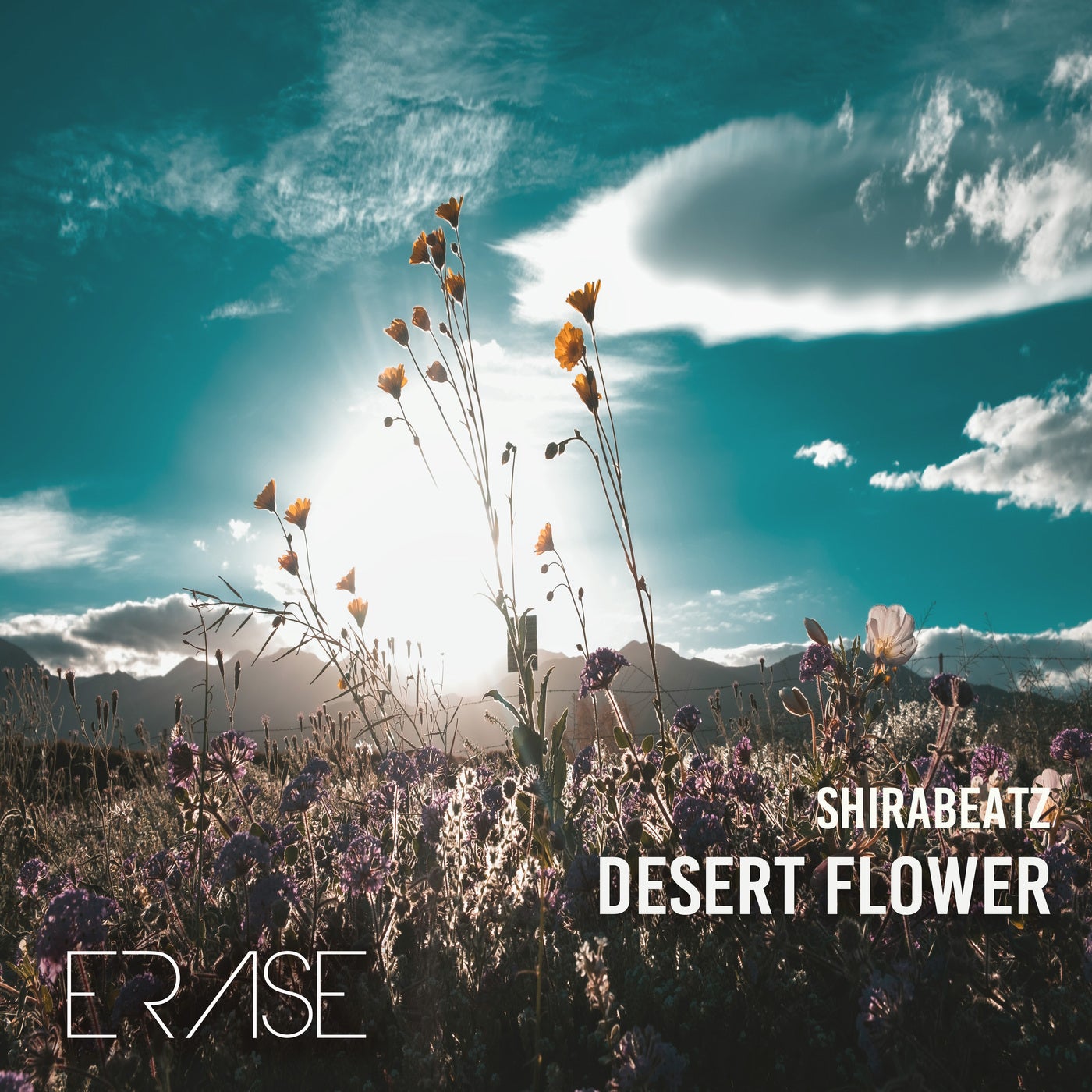 Desert Flower