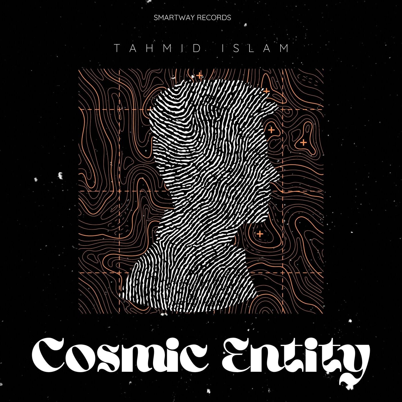 The Cosmic Entity