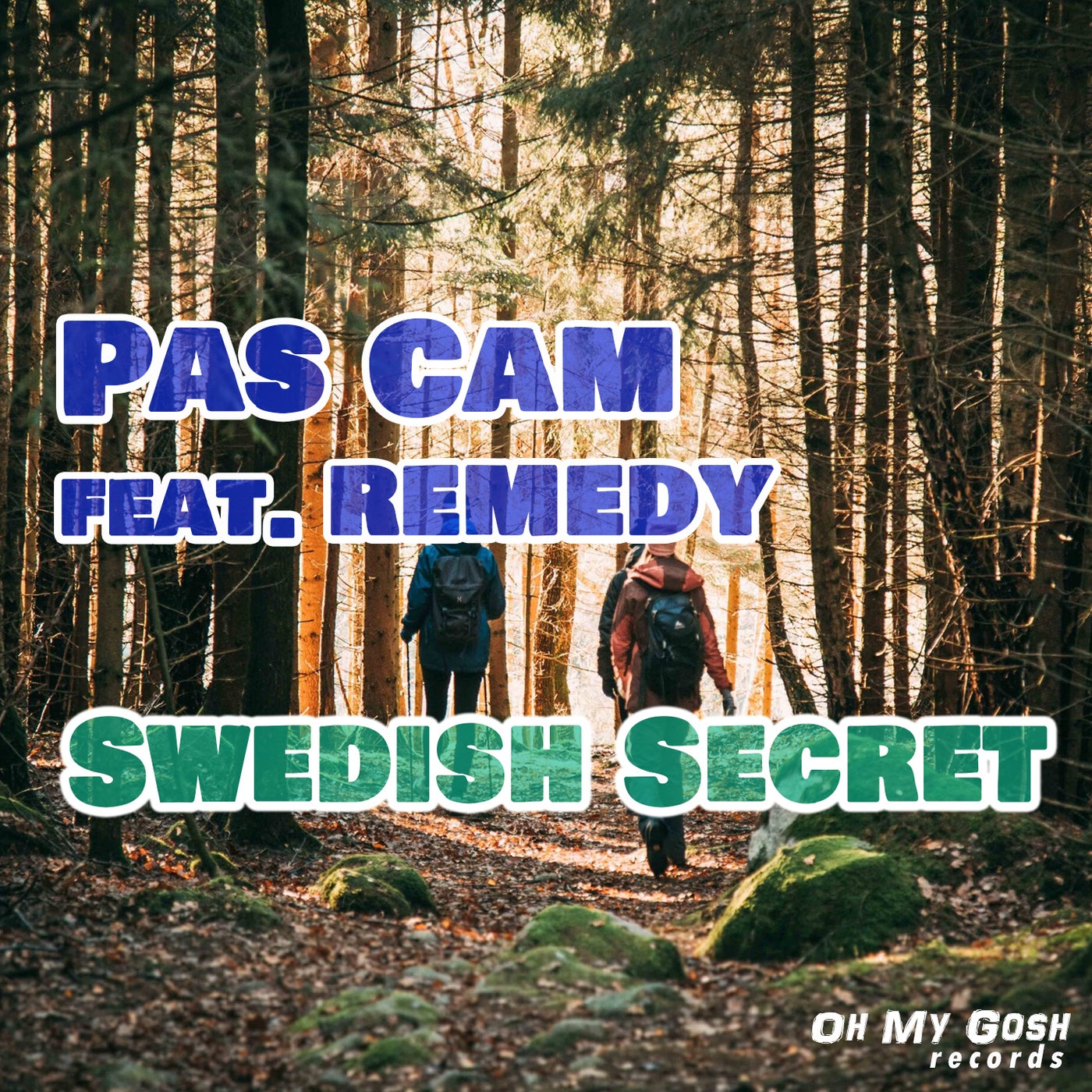 Swedish Secret