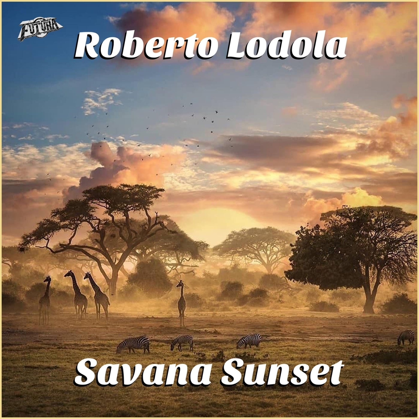 Savana Sunset