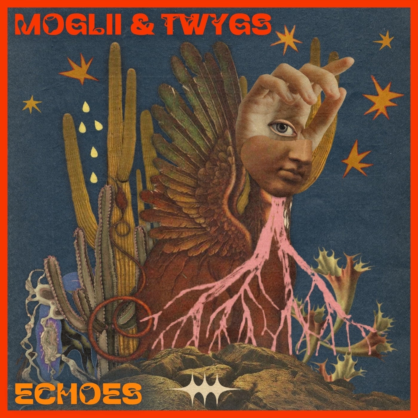 Echoes