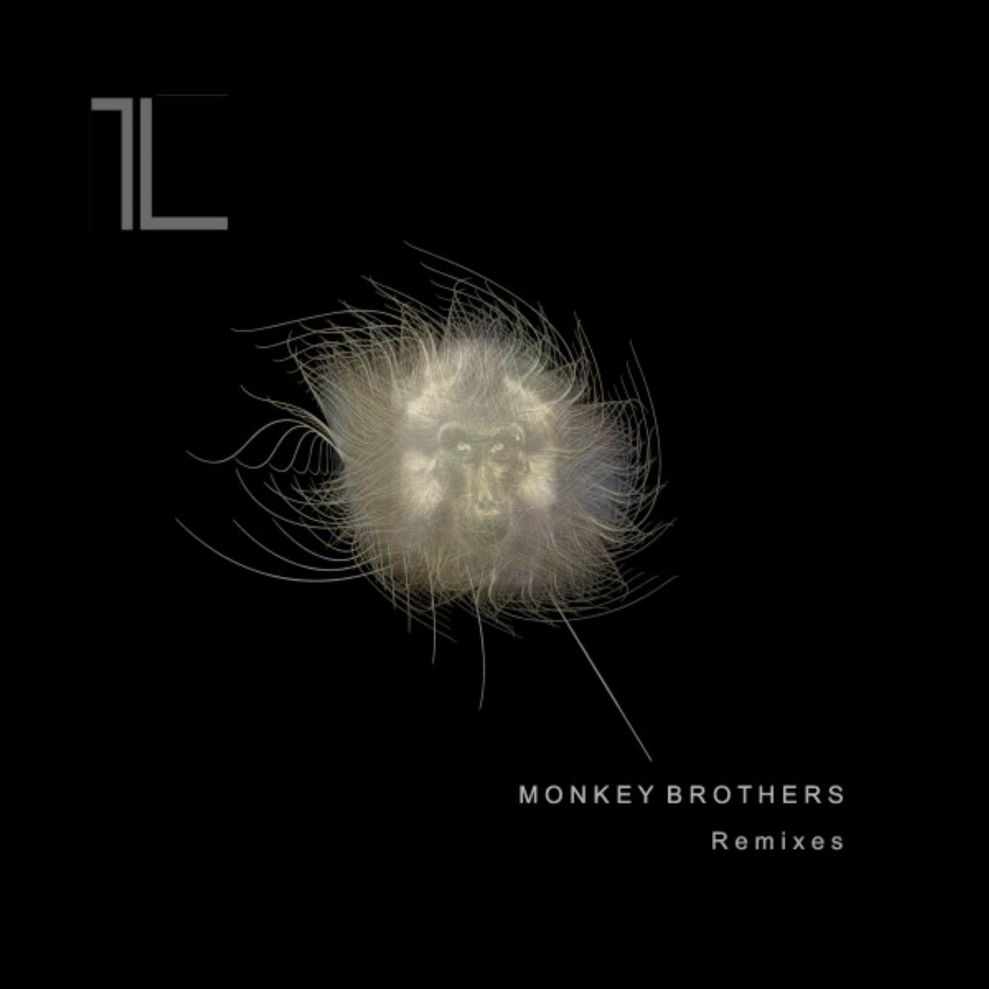 Monkey Brothers Remixes