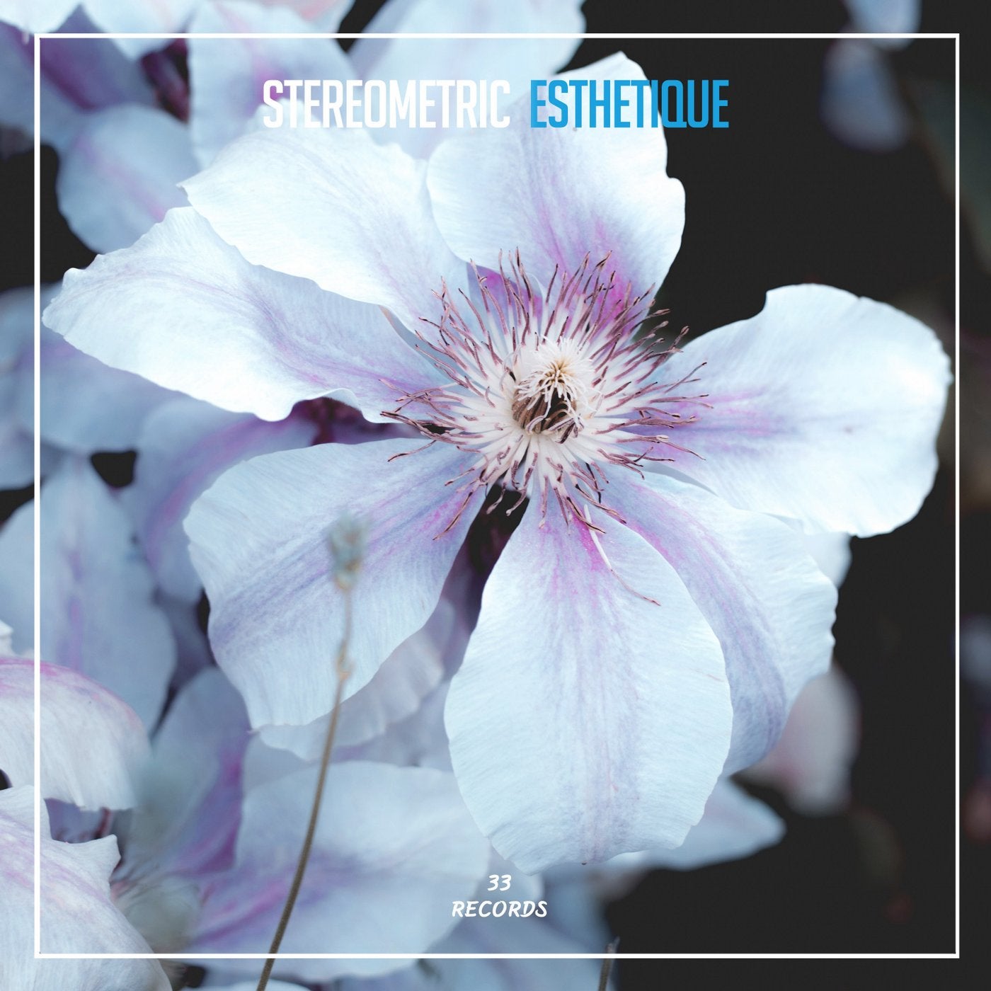 Esthetique