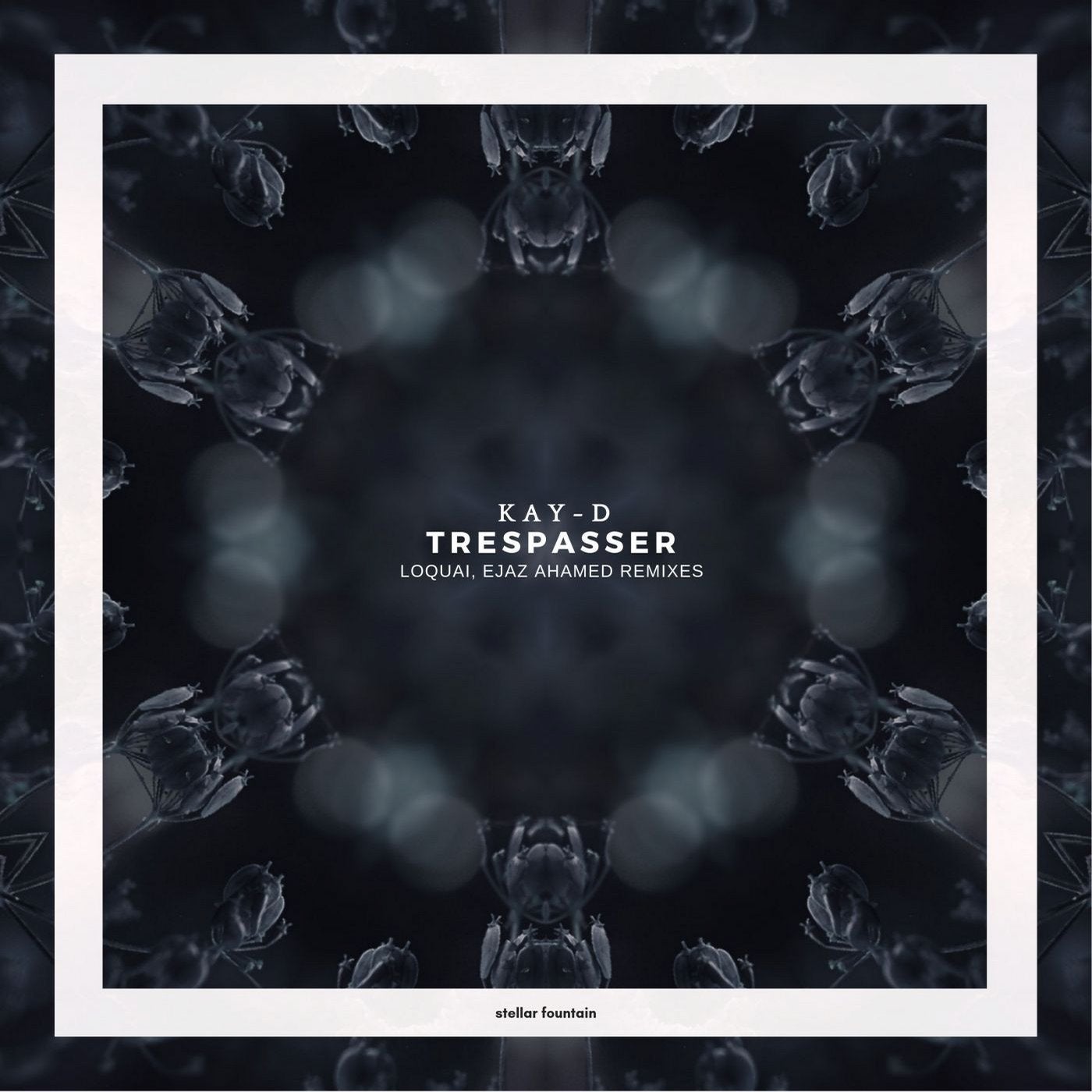 Trespasser