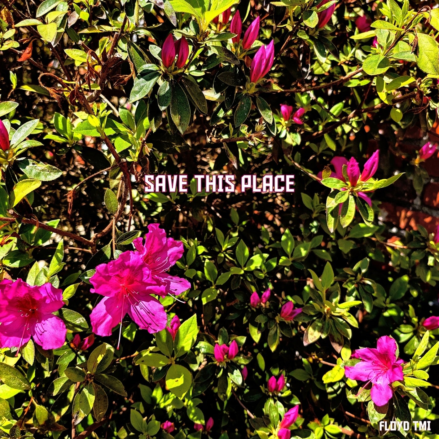 Save This Place