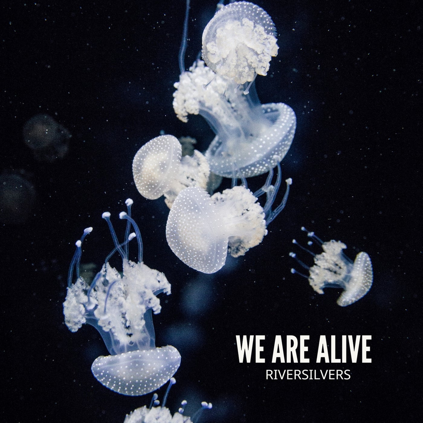 We Are Alive