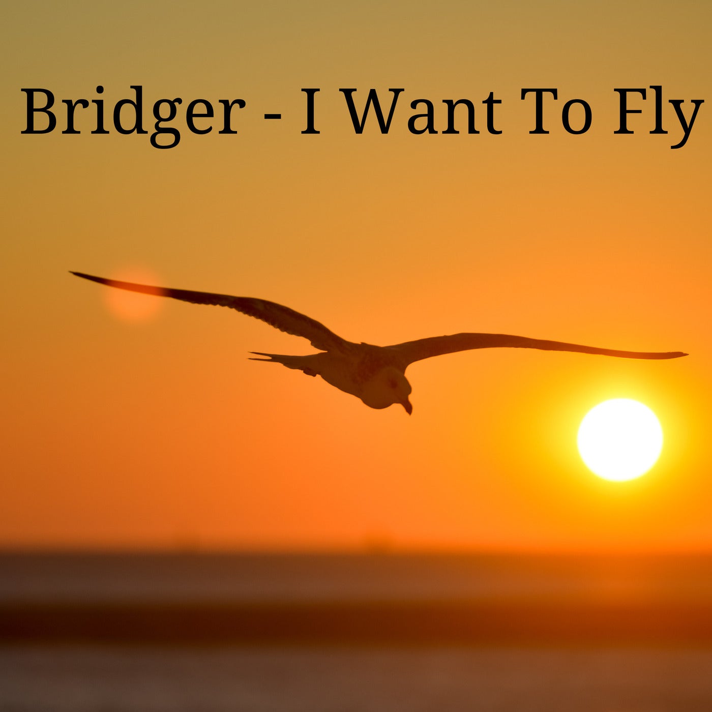 I Want To Fly