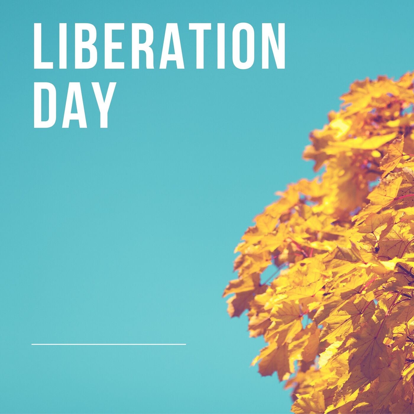 Liberation Day