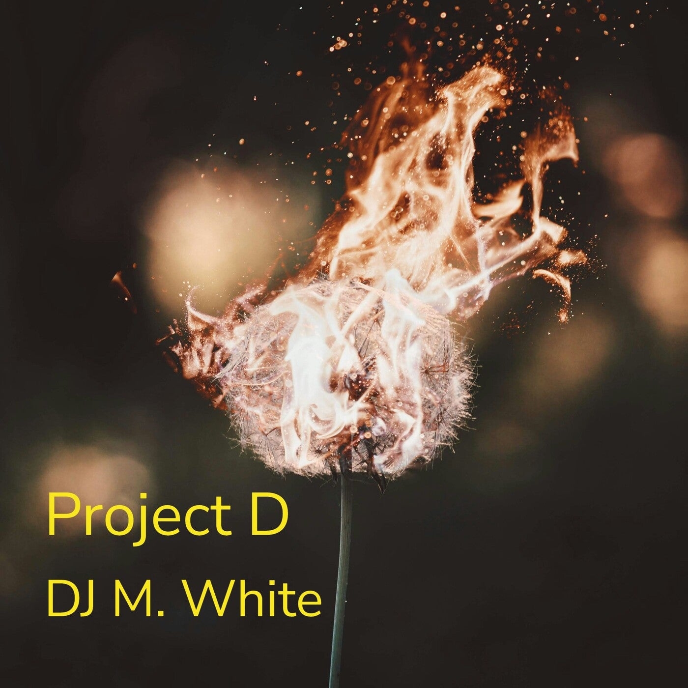 Project D