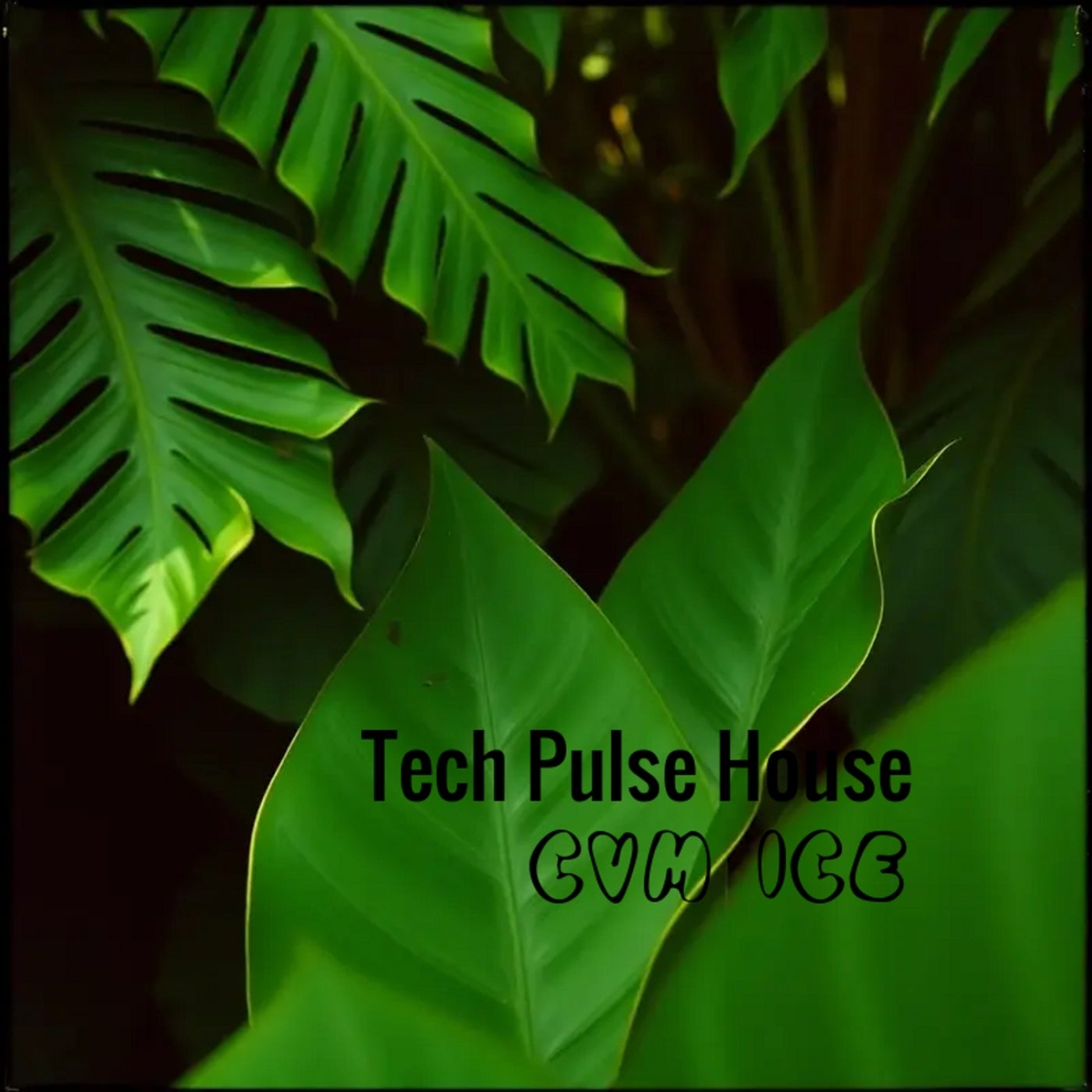 Tech Pulse House
