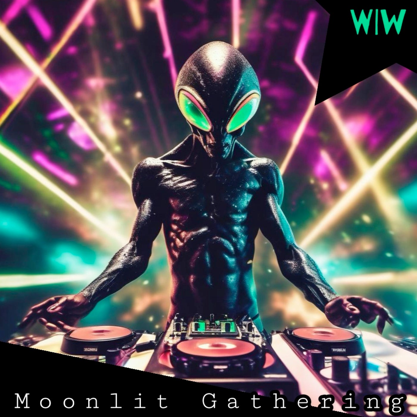 Moonlit Gathering