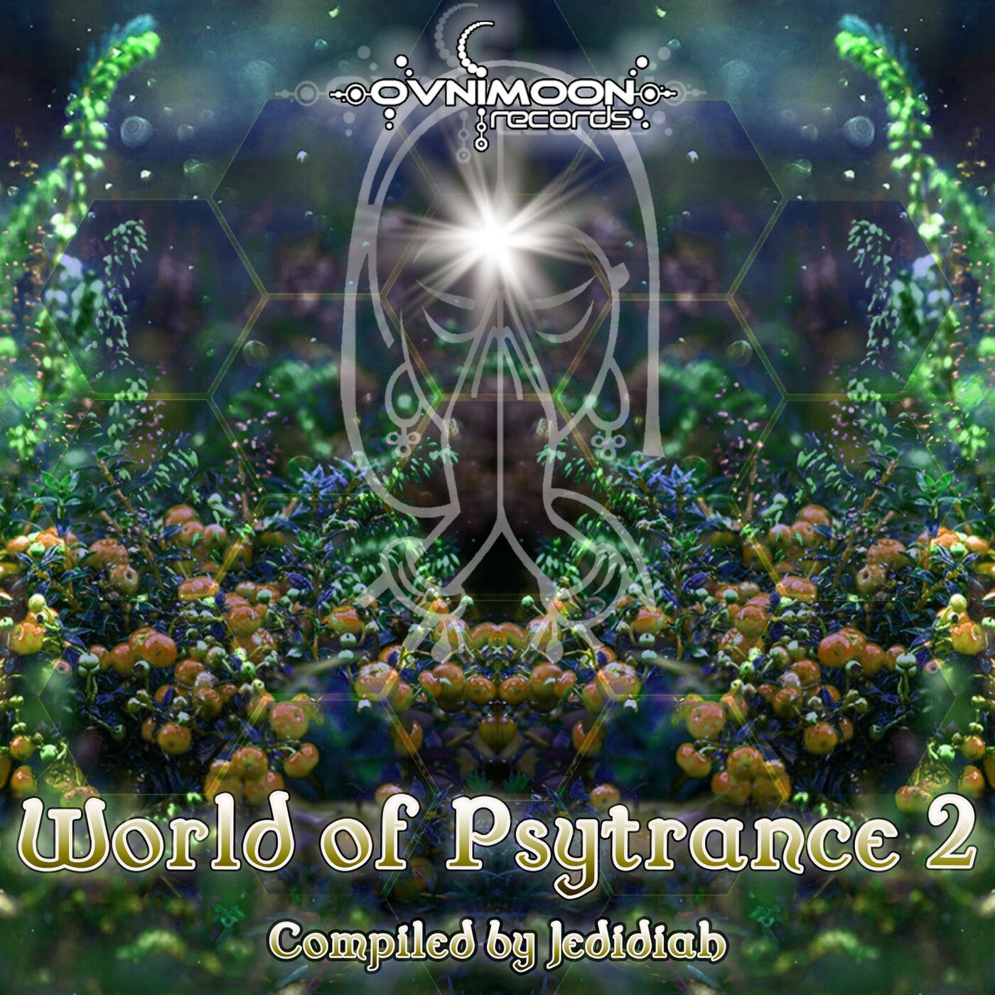 World Of Psytrance, Vol. 2