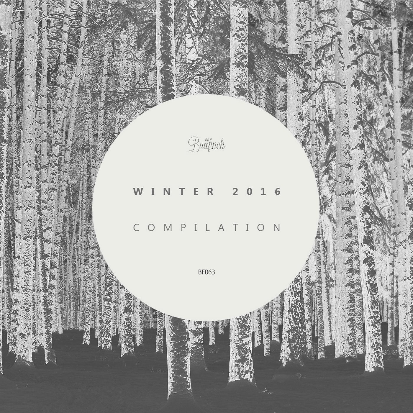 Bullfinch Winter Compilation 2016