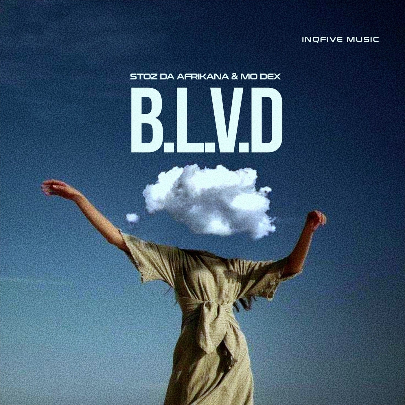 B.L.V.D