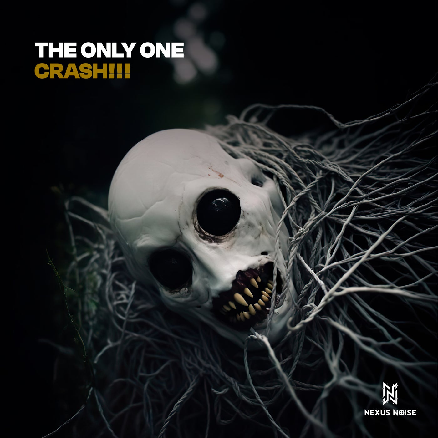 Crash!!!