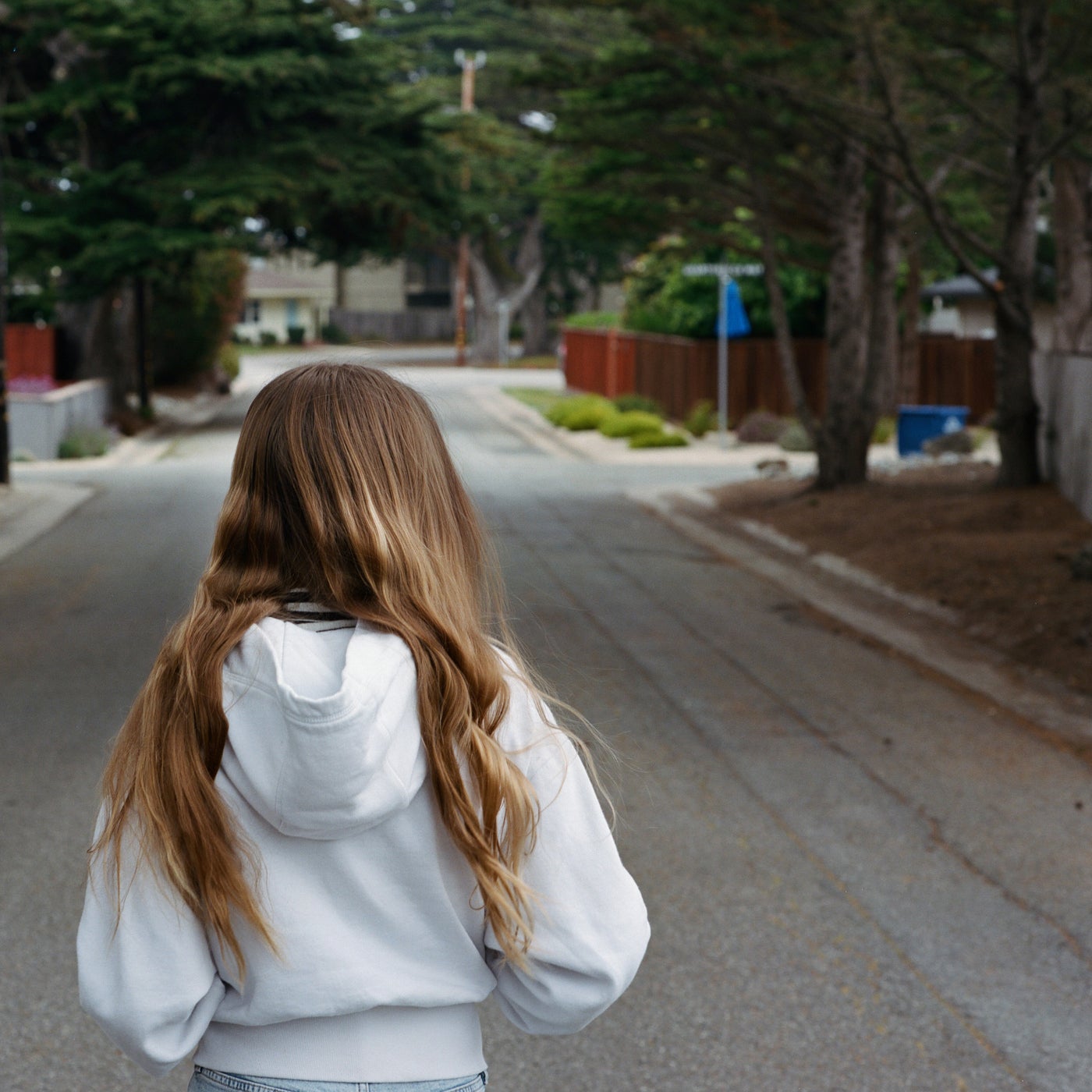 Burden Of Proof (Night Of The Disappearance/Letters From The Attic)