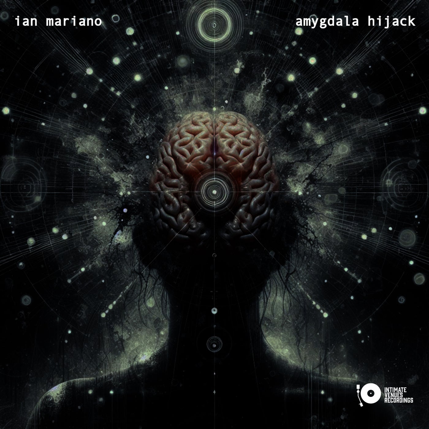amygdala hijack