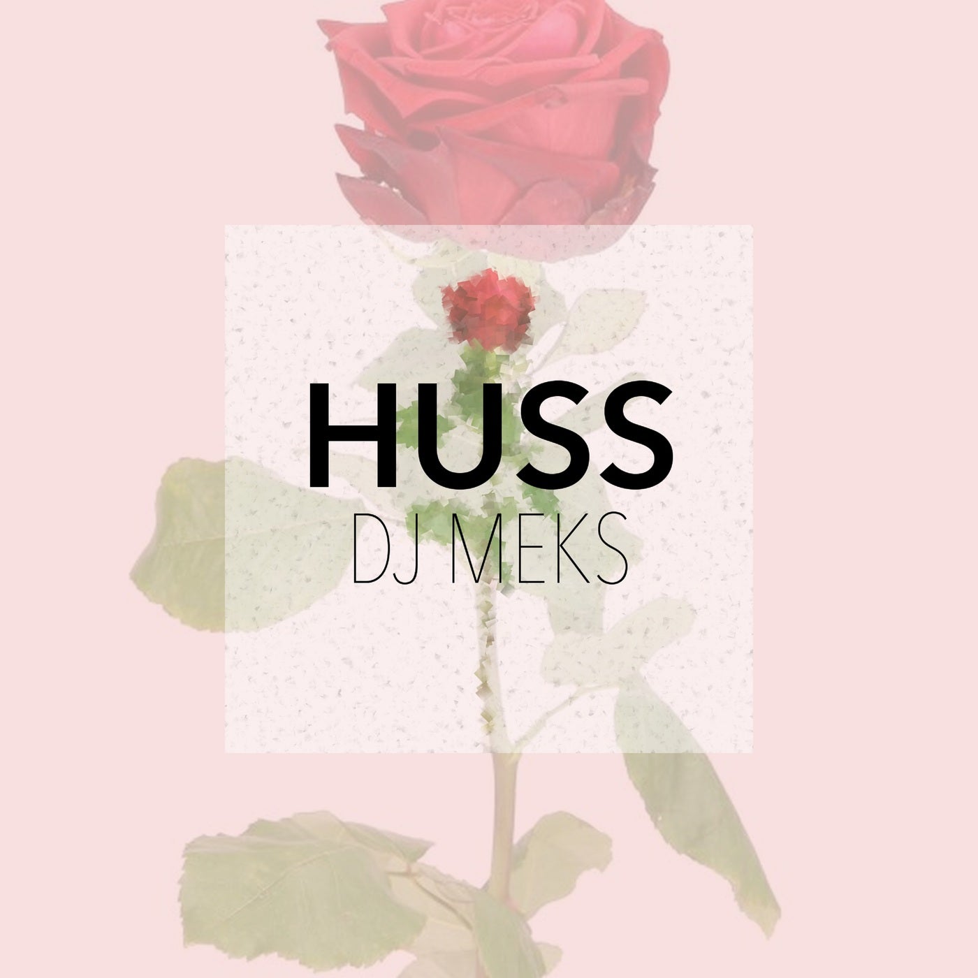 Huss