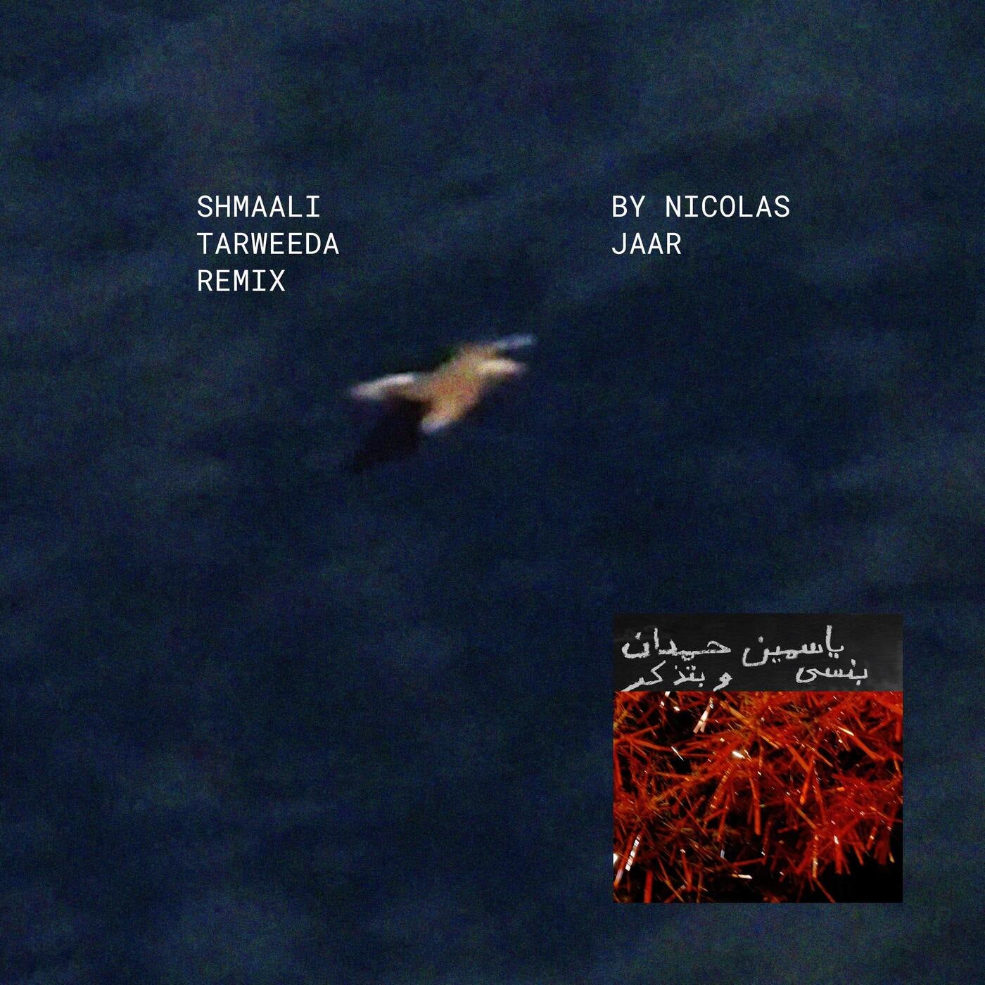 Shmaali ????? Tarweeda (Nicolas Jaar Remix)