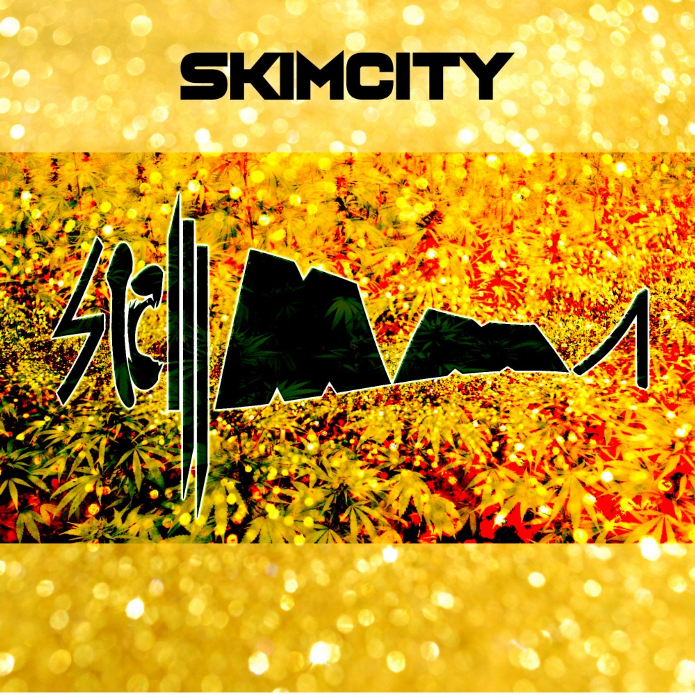 Skimcity