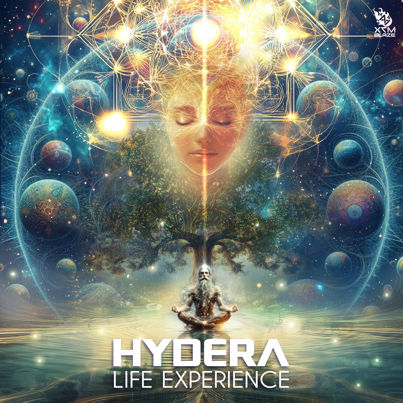 Life Experience