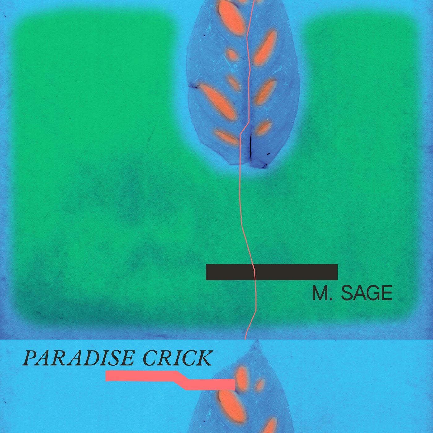 Paradise Crick