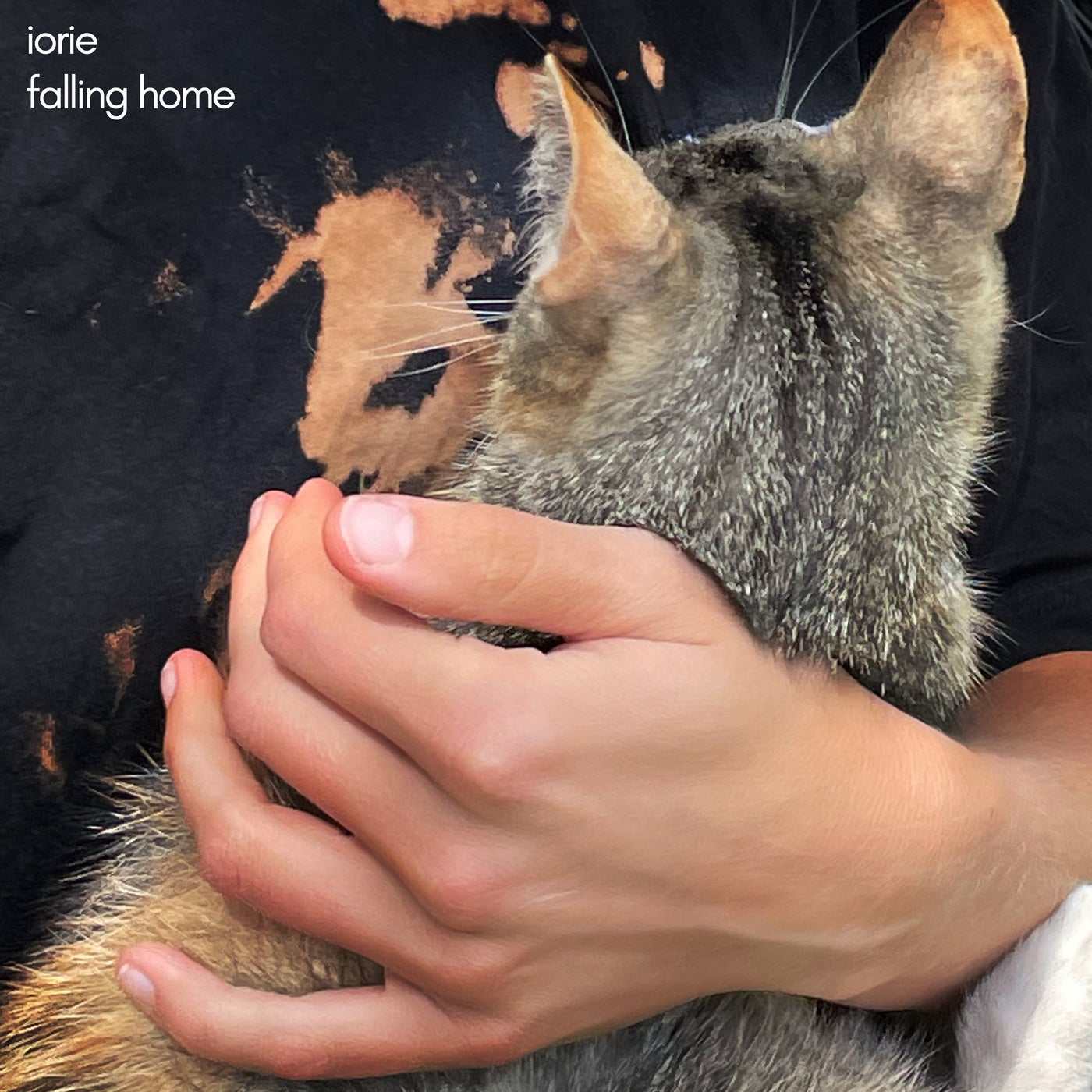 Falling Home