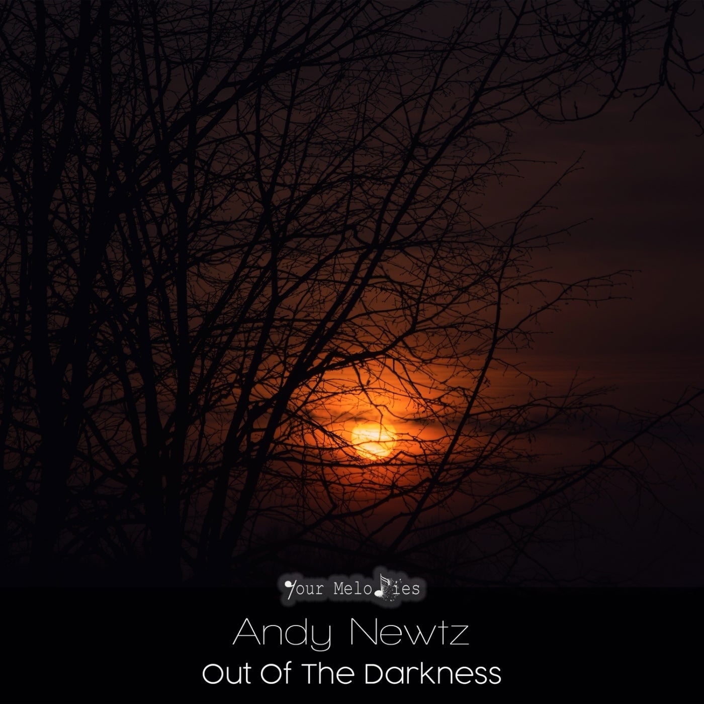 Out of the Darkness