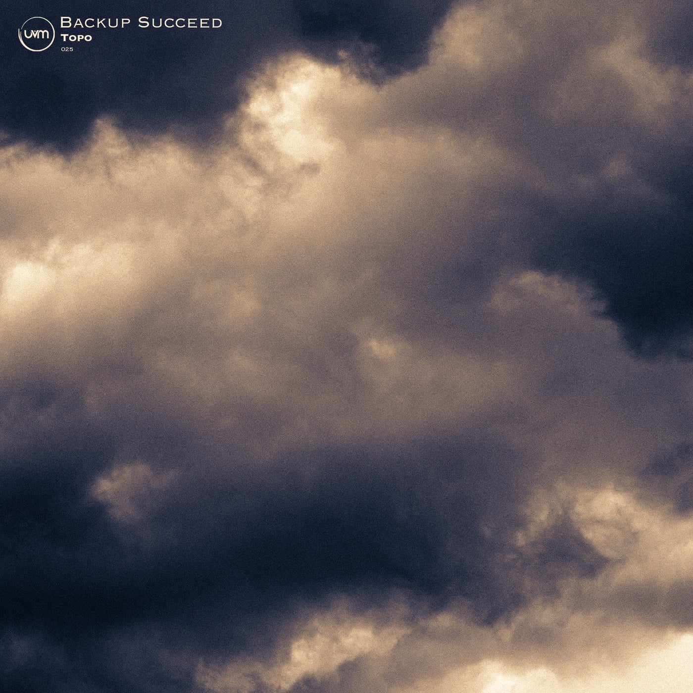 Cover art for Backup Succeed