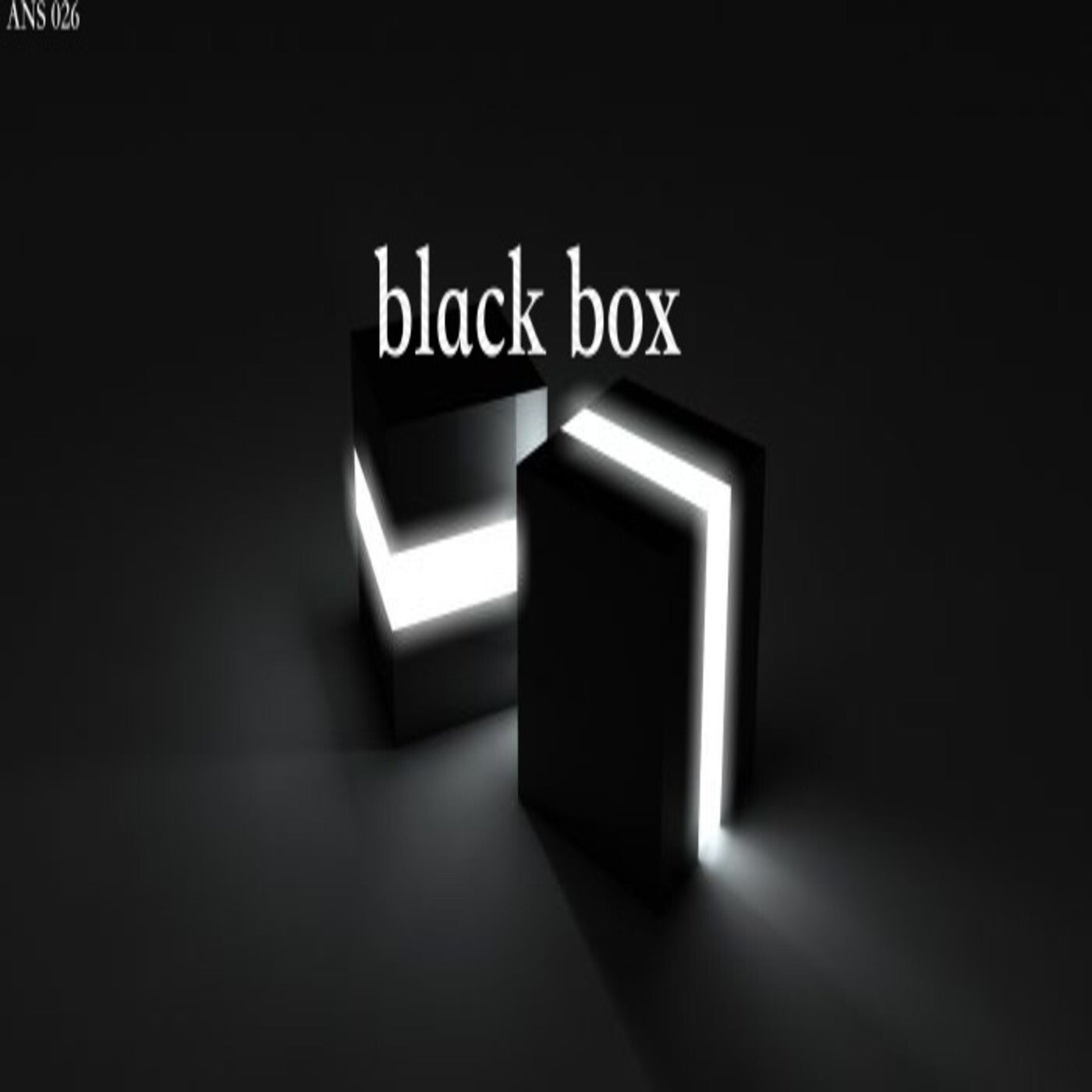 black box