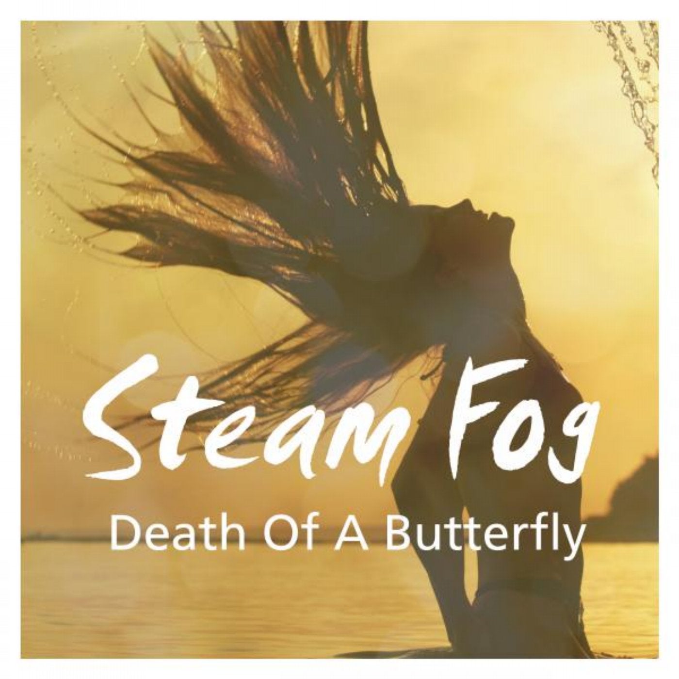 Death of a Butterfly (Original Mix)