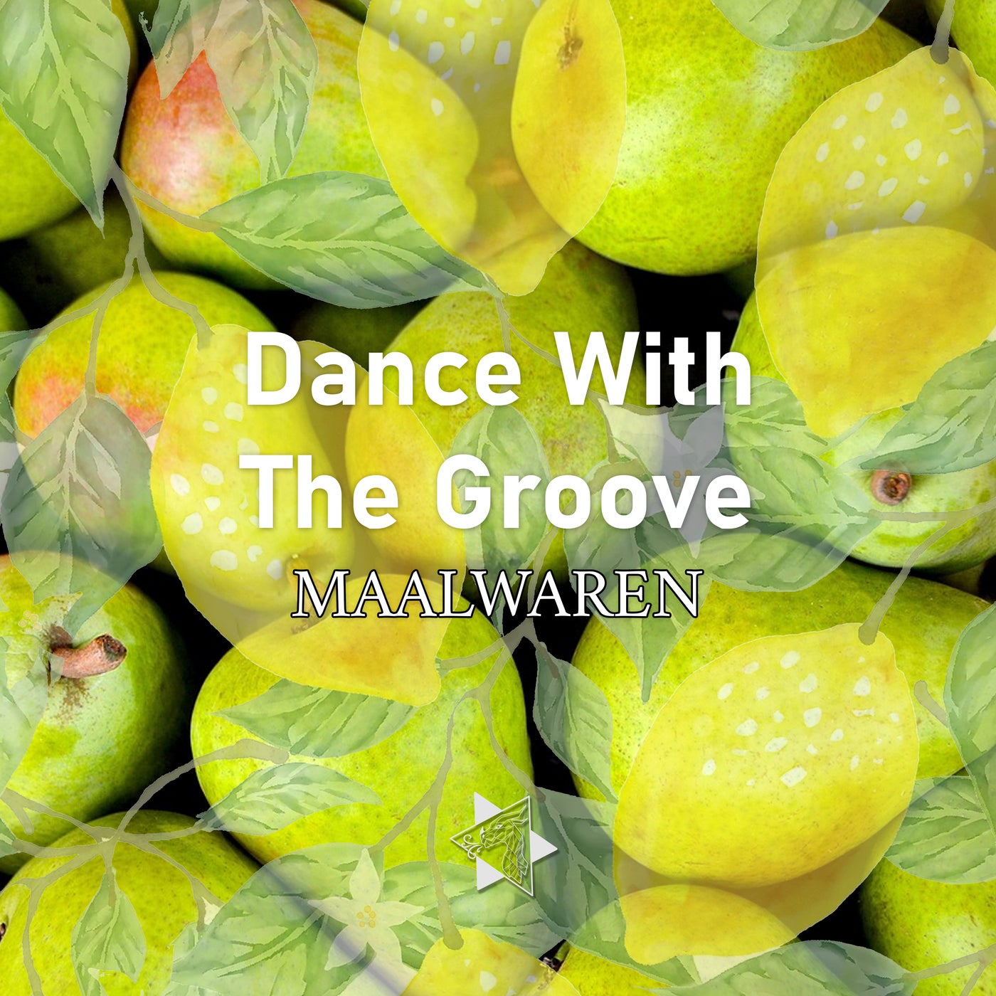 Dance With The Groove