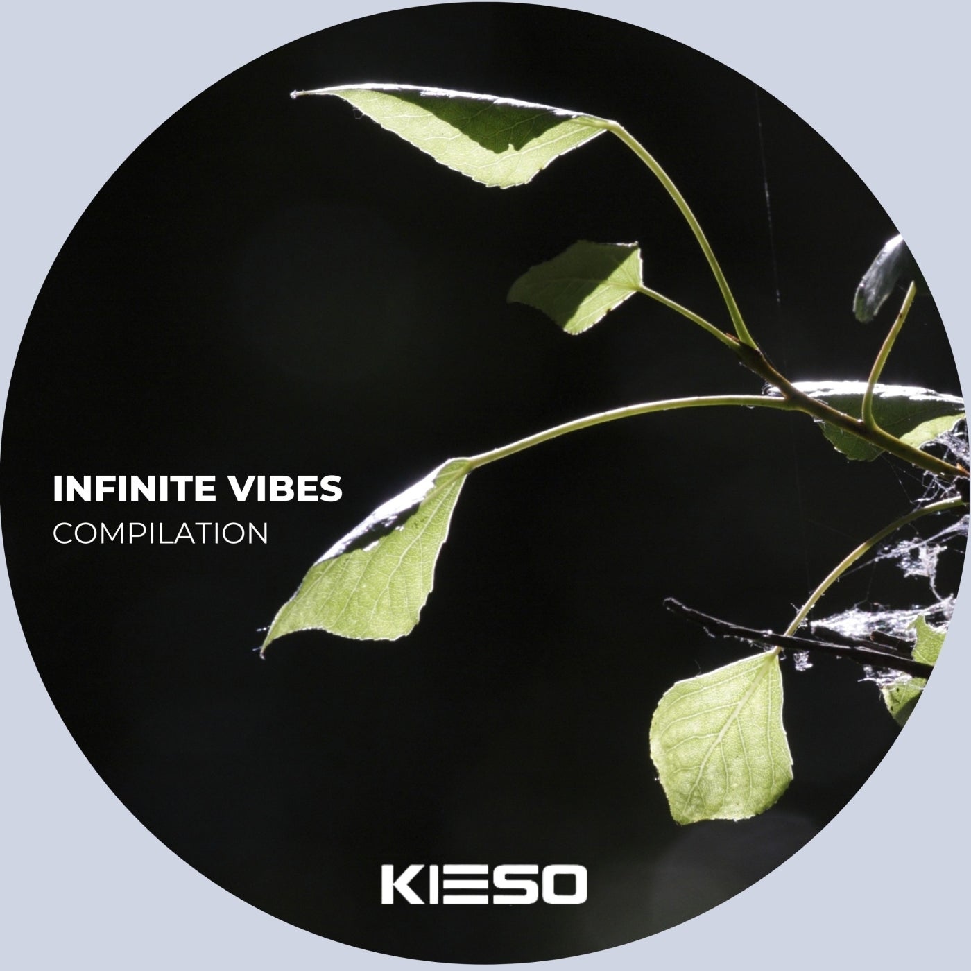 Infinite Vibes