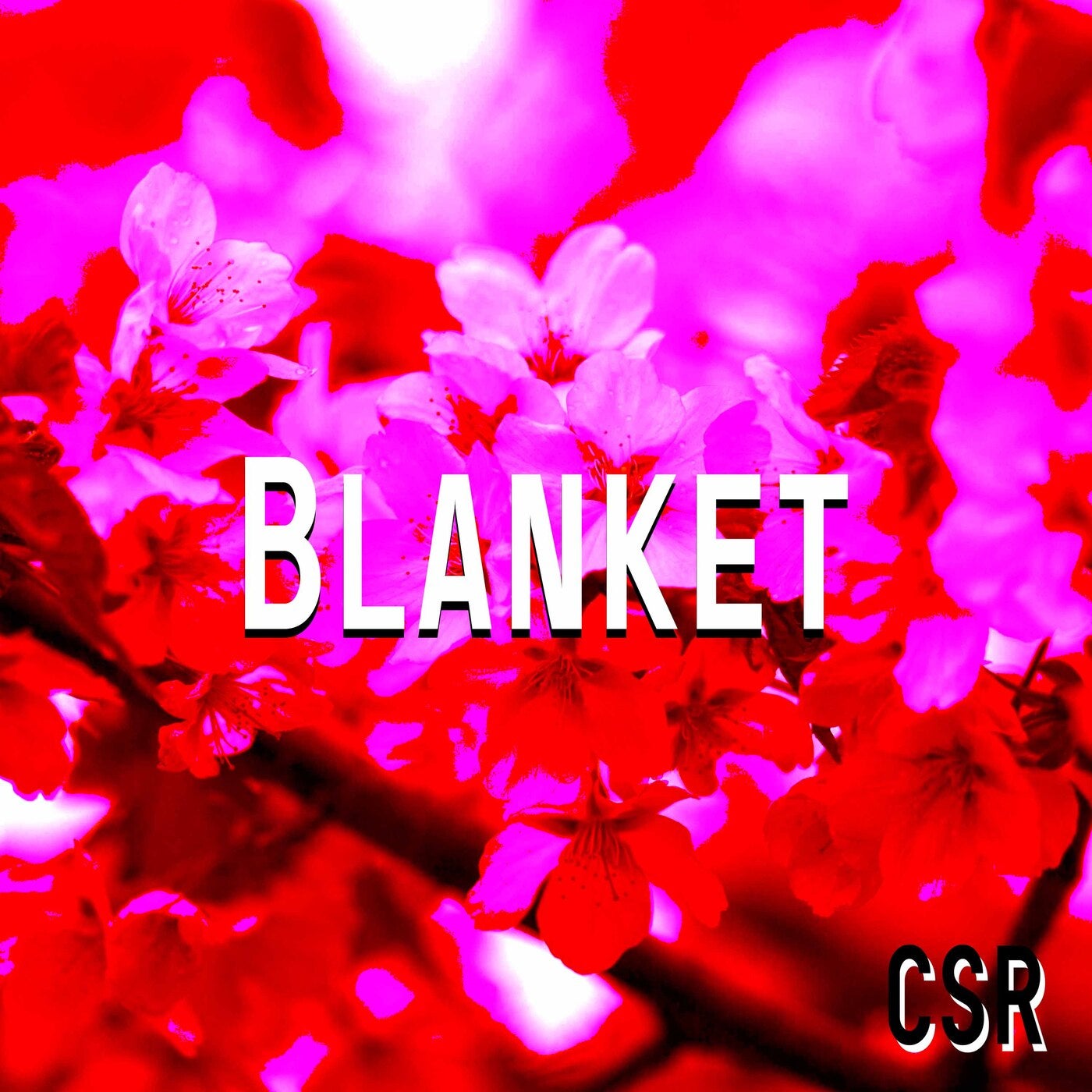 Blanket