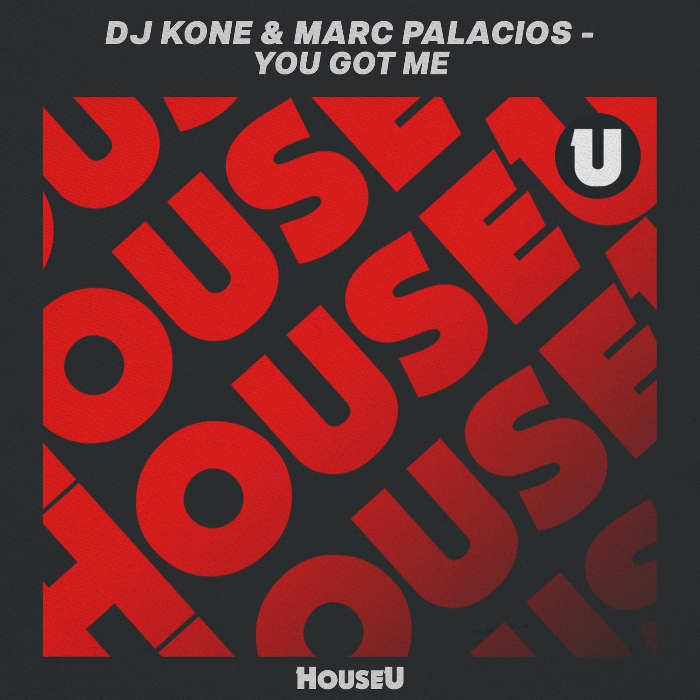 Cover art for You Got Me (Extended Mix)