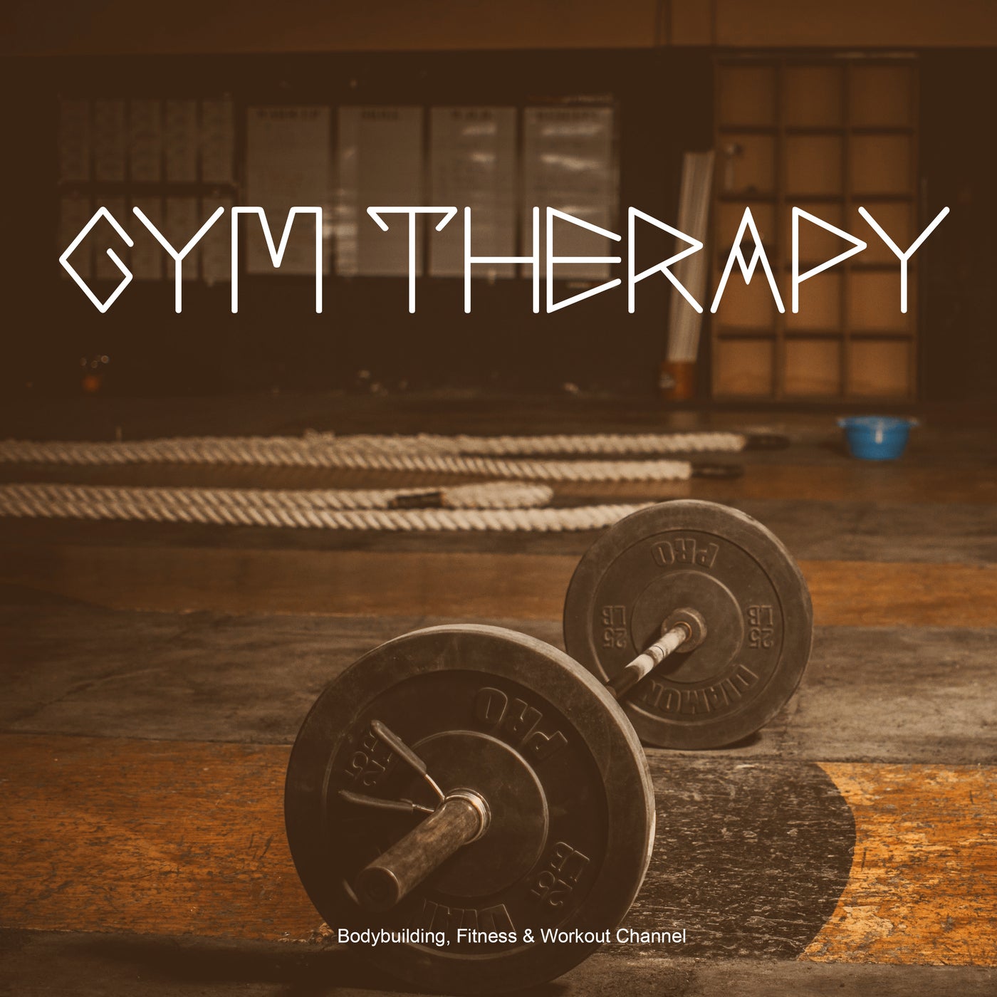 Gym Therapy