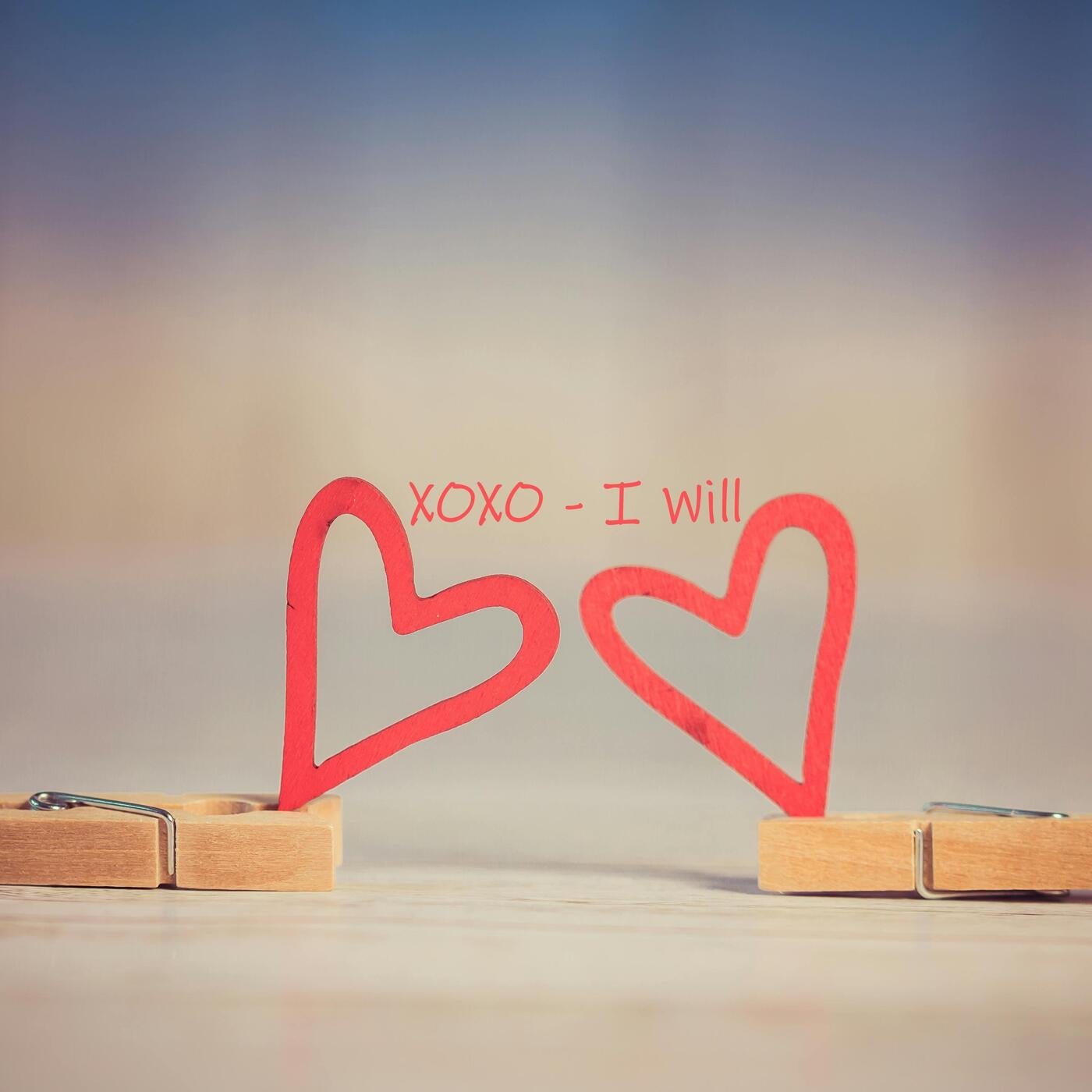 I Will