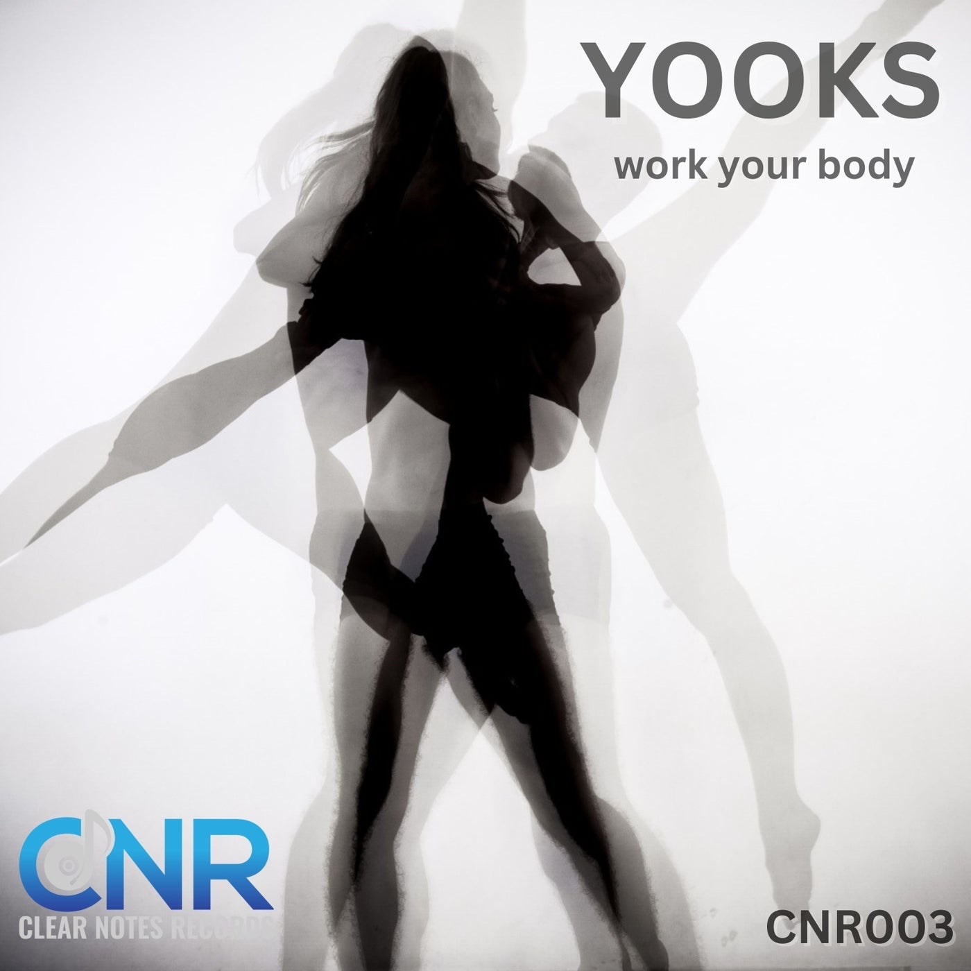 Work Your Body