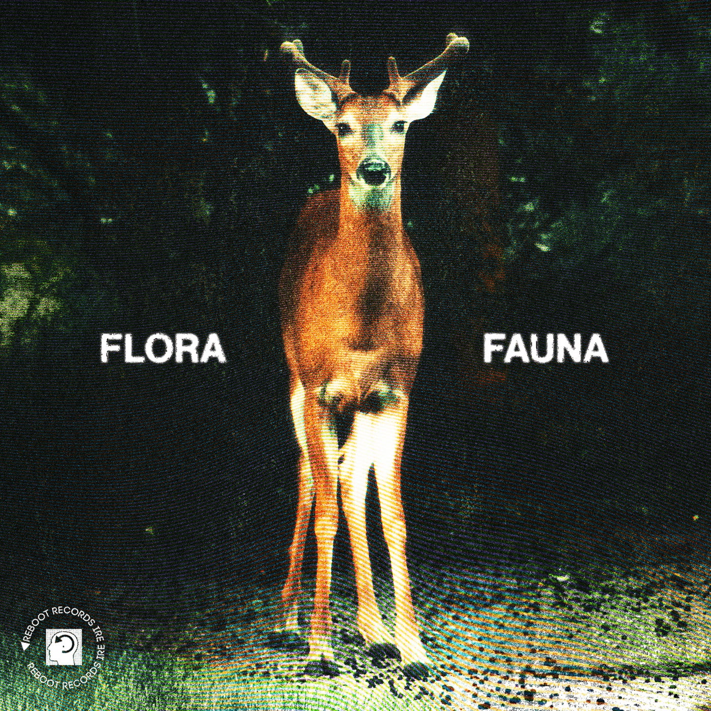Flora/Fauna