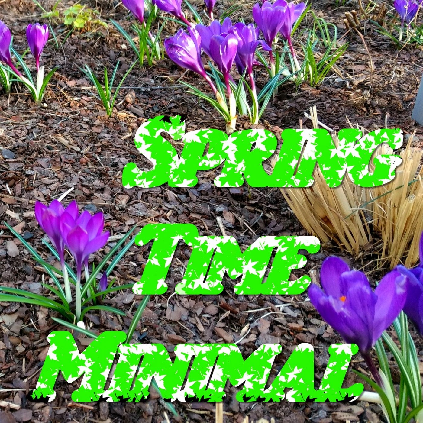 Spring Time Minimal