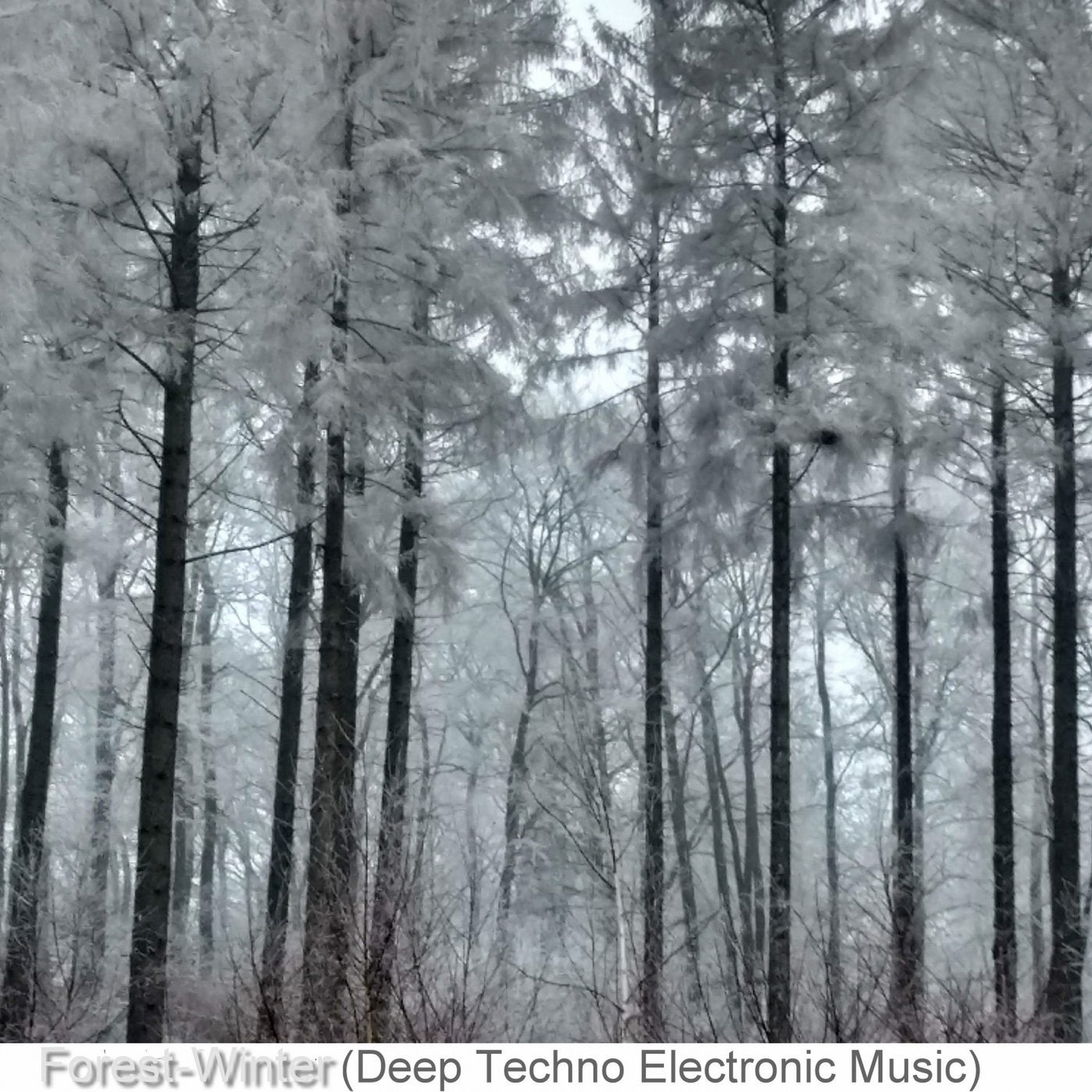 Forest-Winter (Deep Techno Electronic Music)
