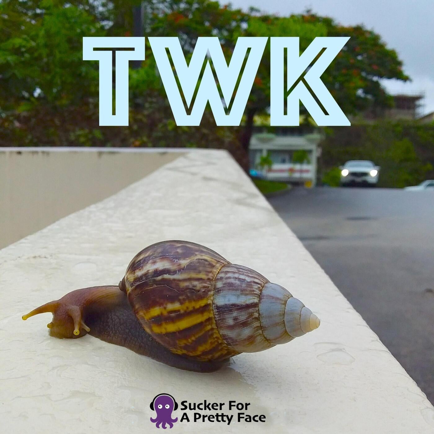 TWK