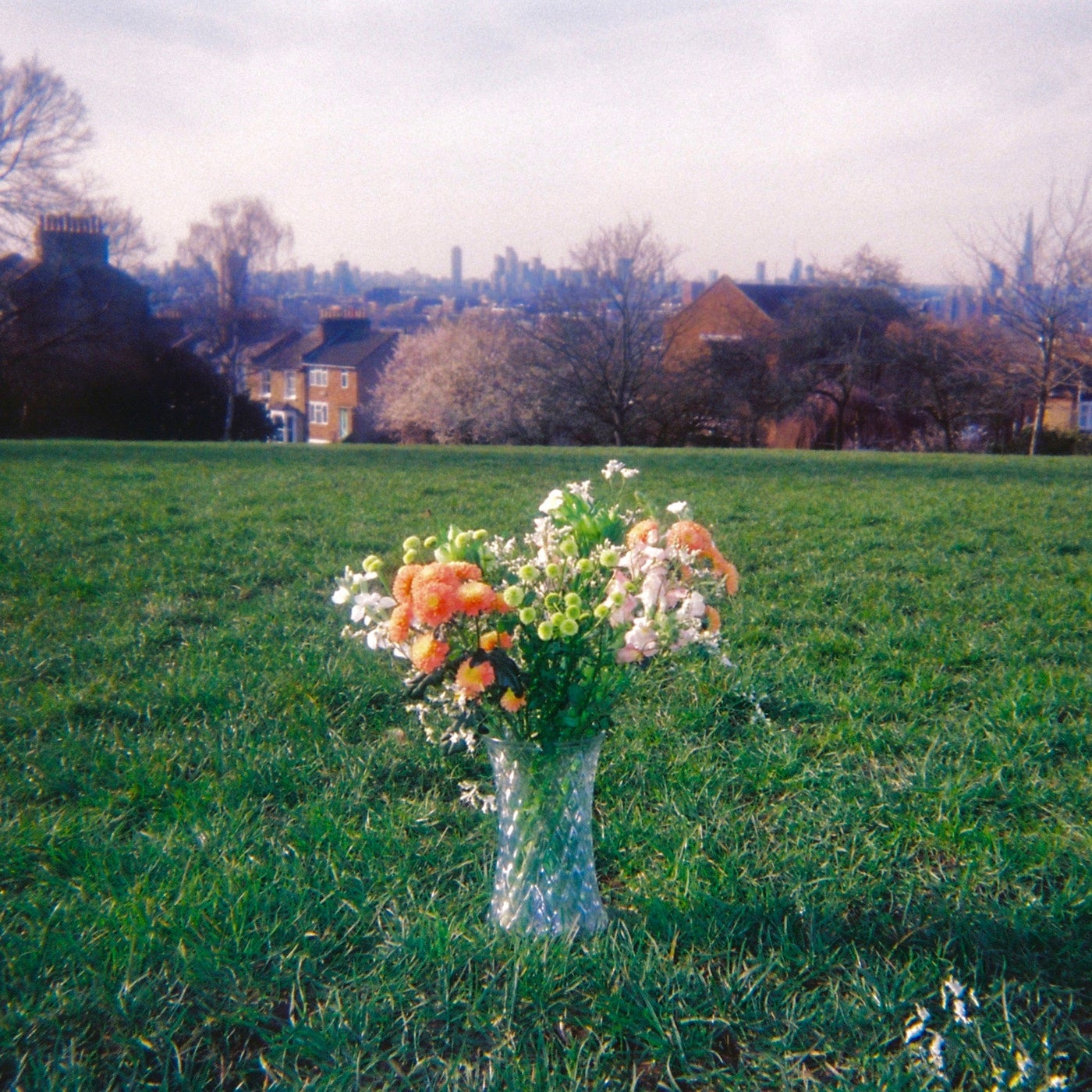 Bloom